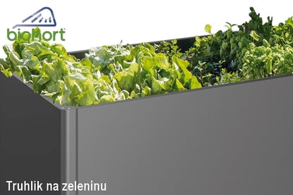 Biohort Zvýšený truhlík na zeleninu 1 x 1 šedý křemen metalíza