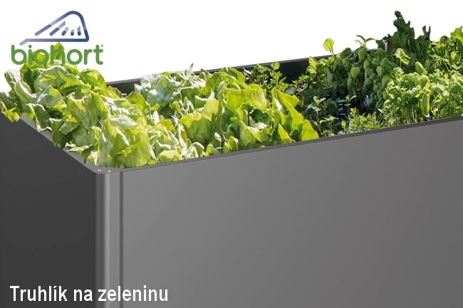 Biohort Zvýšený truhlík na zeleninu 1 x 1 tmavě šedá metalíza