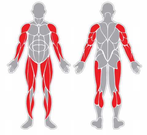 Fitness stroj - Eliptický trenažer F05