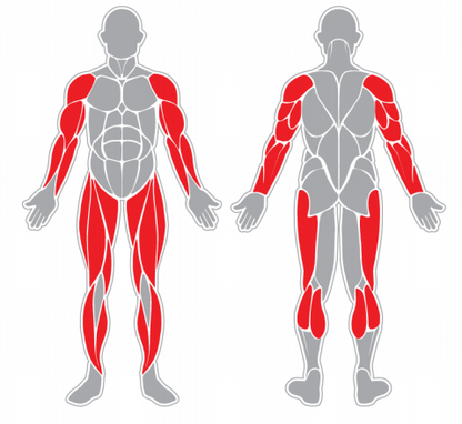 Fitness stroj - Eliptický trenažer F05