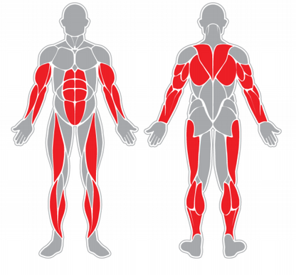 Fitness stroj - jezdecký trenažer - F10