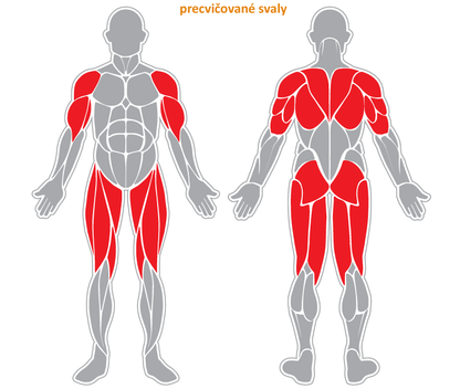 Fitness stroj - Masížní zařízení - F28
