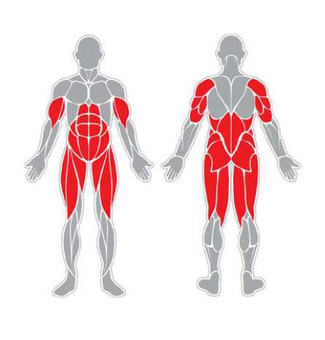 Fitness stroj - Miltifunkční Fitness Stanice F33