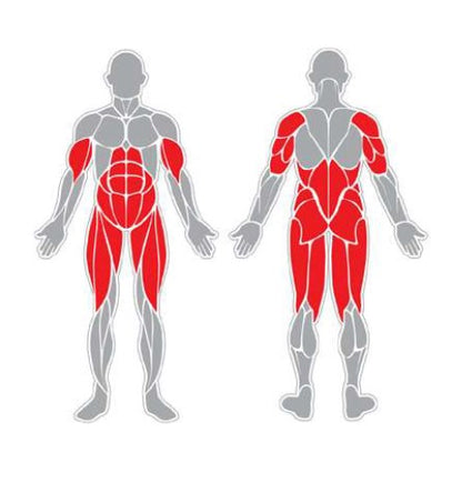 Fitness stroj - Miltifunkční Fitness Stanice F33