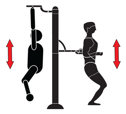Fitness stroj - Posilovač břišních svalů a hrazda - F25