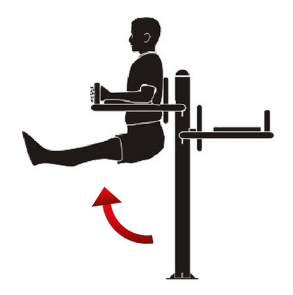 Fitness stroj - Posilovač břišních svalů - F24