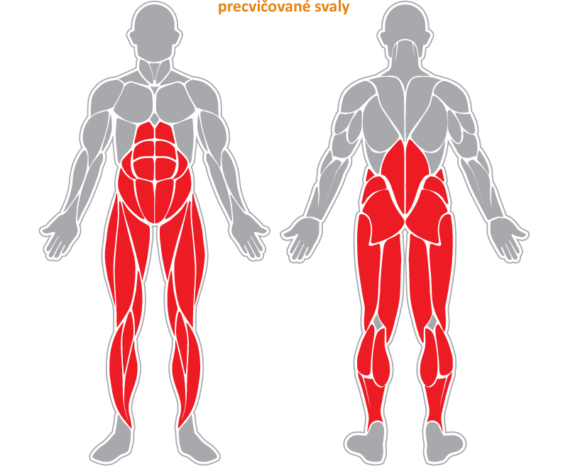 Fitness stroj - Posilovač nohou, surf - F31