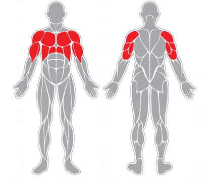 Fitness stroj Posilovací stroj Hrudník - Výtlak - F18