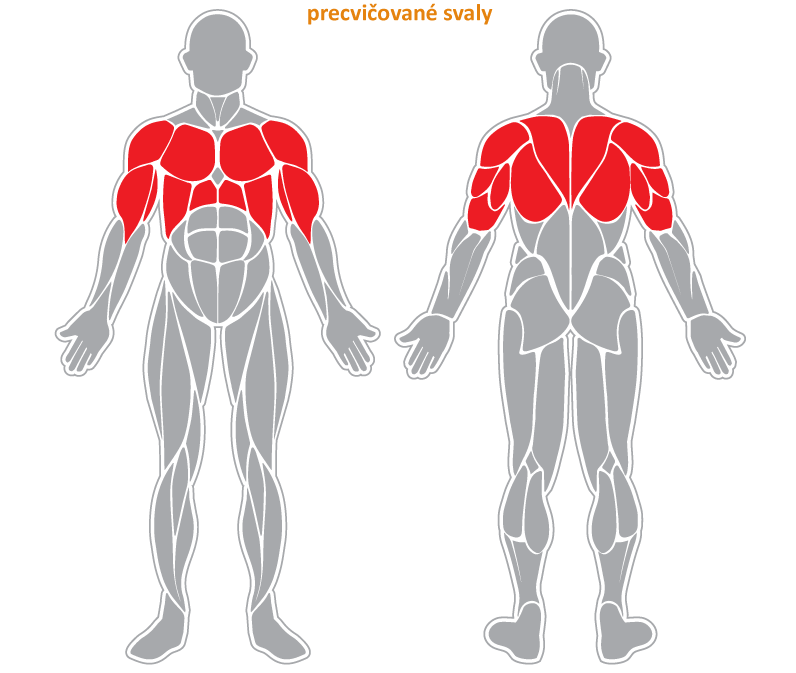 Fitness stroj - Procvičování kloubů - F29