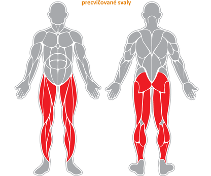 Fitness stroj - Šlapadlo - F26