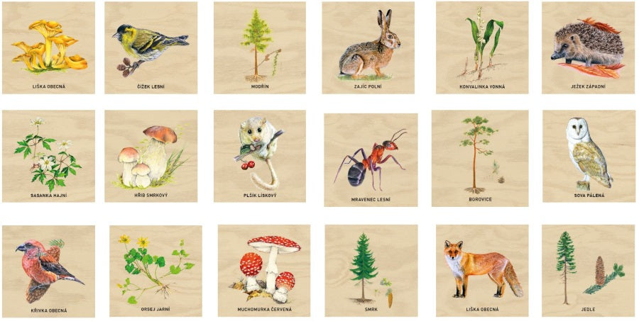 Monkeys Edukační panel Pexeso - Les 200