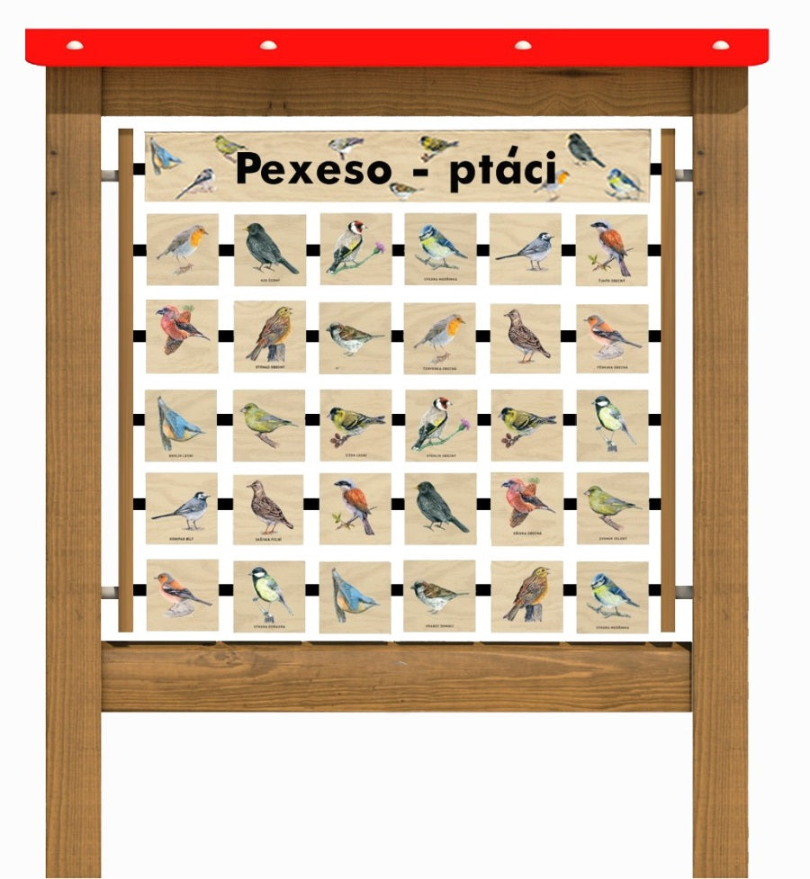 Monkeys Edukační panel Pexeso - Ptáci 160