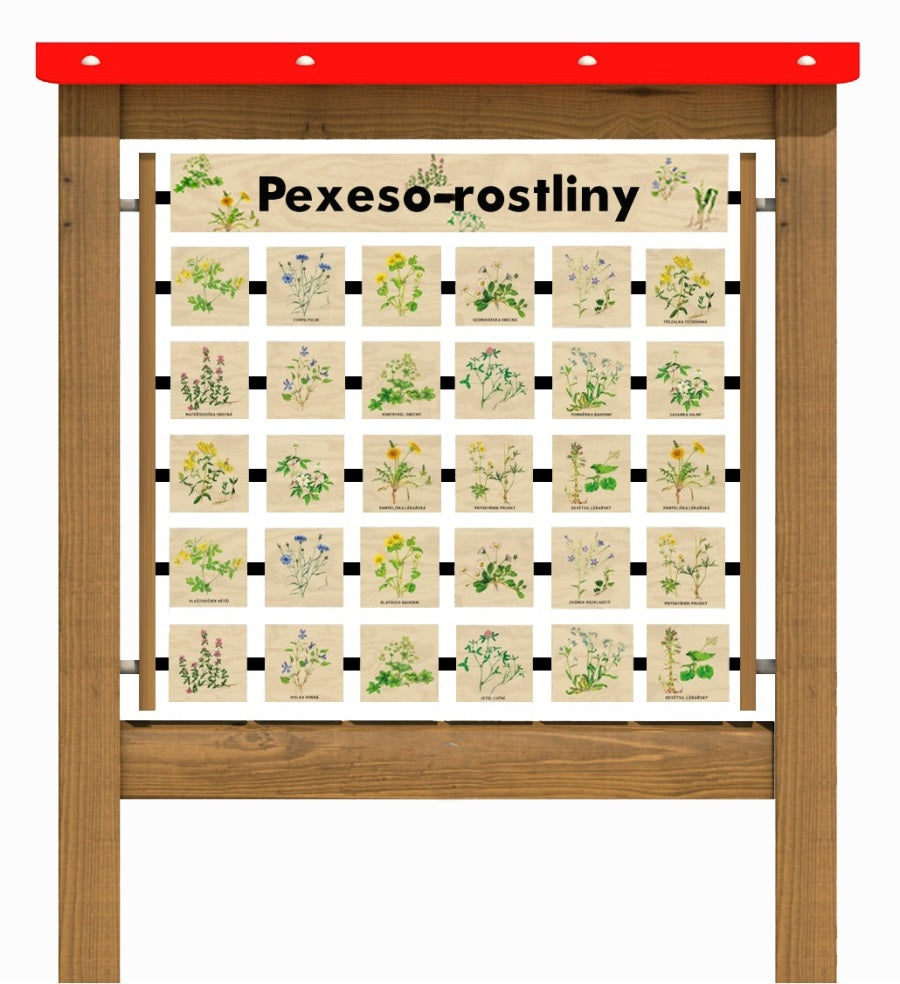 Monkeys Edukační panel Pexeso - Rostliny 200