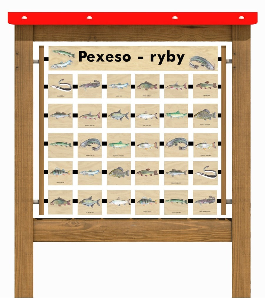 Monkeys Edukační panel Pexeso - Ryby 200
