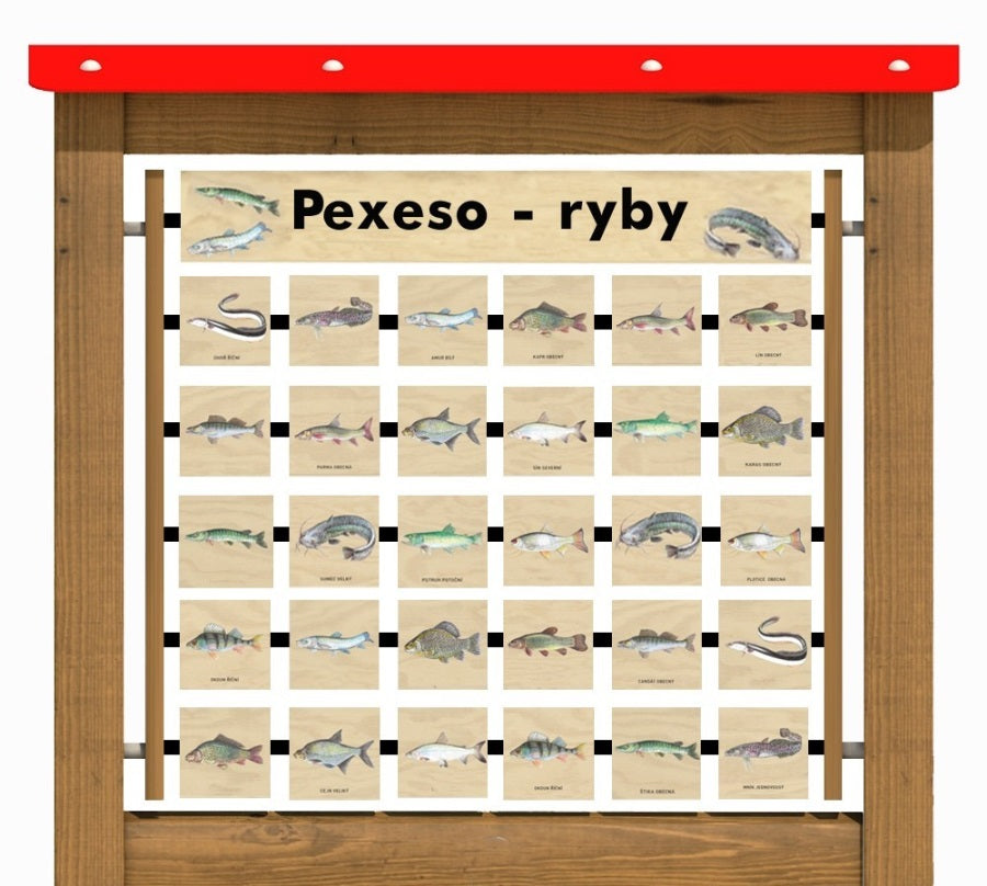 Monkeys Edukační panel Pexeso - Ryby na stěnu