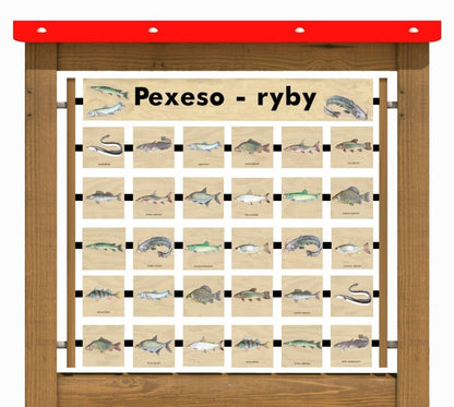 Monkeys Edukační panel Pexeso - Ryby na stěnu